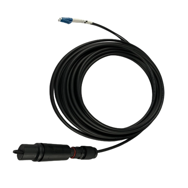 Fiber optic access router or router PDF preview