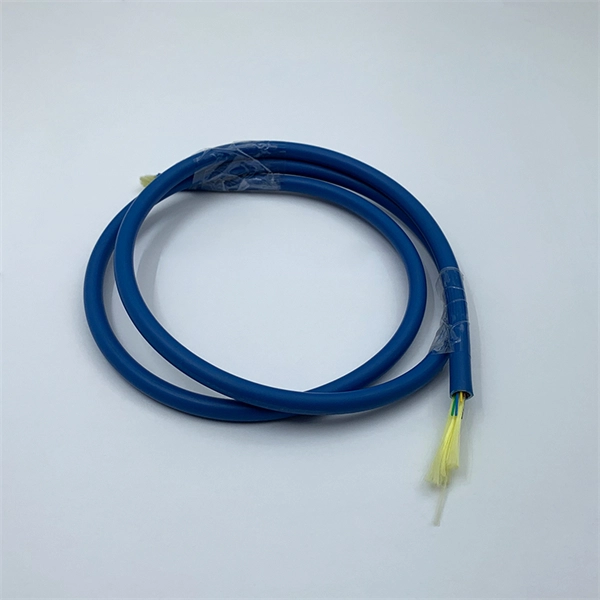 Mali-branded coherent optical module QSFP28